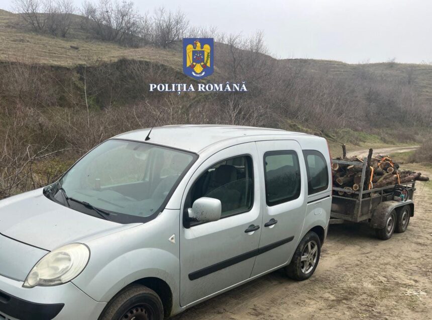 foto doi barbati au fost prinsi la furat de lemne in ultima zi din an la garliciu 6775381c22541