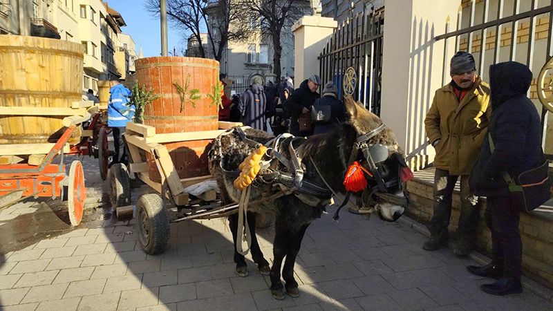foto mugurel bujor rendea miscu si pavarotti au revenit din pecineaga tulcea si brasov vor fi stropiti cu apa sfintita de ips teodosie 677b894018e57