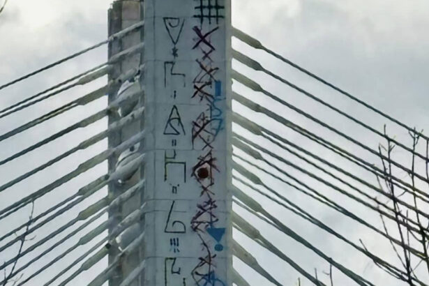 foto politia capitalei s a autosesizat si face cercetari dupa ce mai multe inscriptii legionare au fost desenate pe podul basarab 678684b539d04