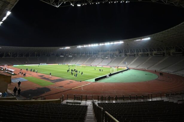 galerie foto imagini cu jucatorii lui fcsb la antrenamentul oficial de pe republican tofiq bahramov 6792618dadb27