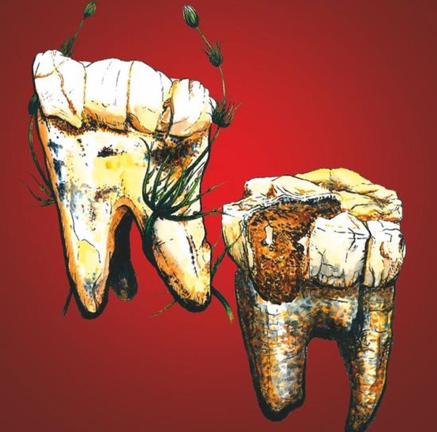 in urma cu 35 milioane de ani stramosii nostri erau vegetarieni releva un nou studiu 679665fe03c52