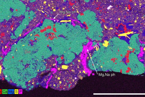ingredientele vietii au fost gasite in fragmentele asteroidului bennu 679c8d9297518