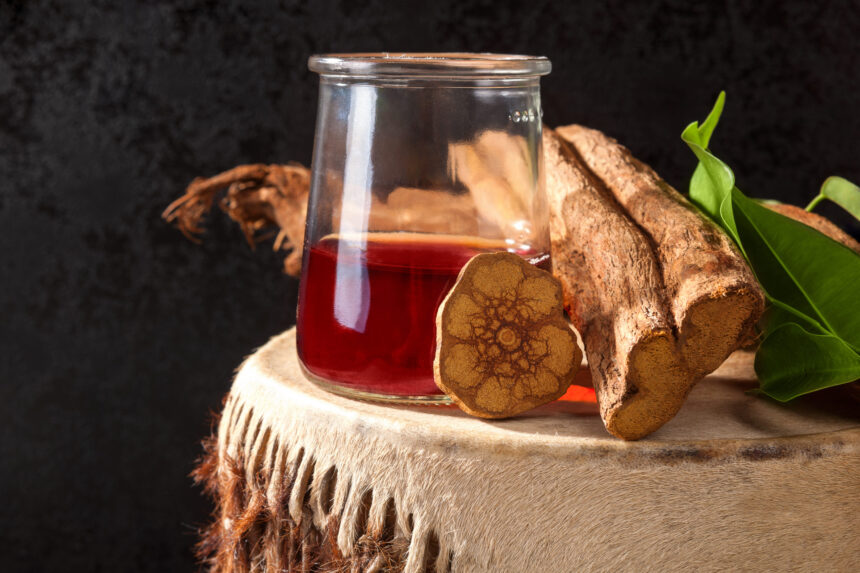 ingredientul principal din ayahuasca testat pe voluntari in cel mai mare experiment psihedelic de pana acum 679901f911479