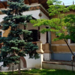 intamplare macabra la un spital din capitala un barbat a furat trei picioare amputate de om 67857d98c9ccf