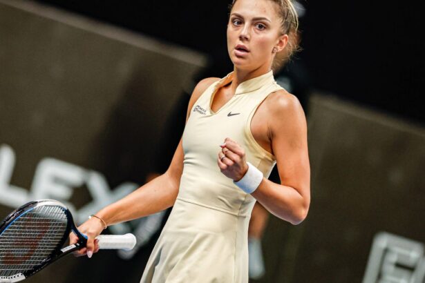 jaqueline cristian si a anuntat prezenta la turneul transmis la pro arena si pe voyo 100 voi fi acolo 678b8affc9ad6