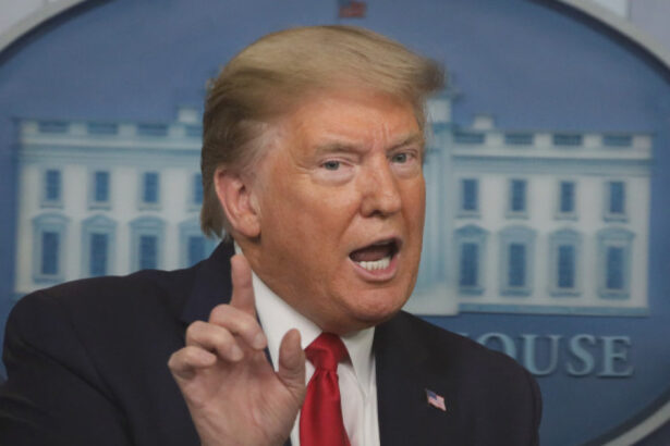 lista populistilor de extrema dreapta din toata lumea invitati la investirea lui trump cine nu este in gratiile presedintelui ales 6788c8c66a59c