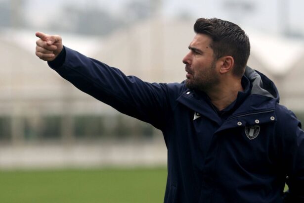 live text petrolul ploiesti fc botosani de la ora 1700 adrian mutu invincibil in fata moldovenilor 6797848359e84