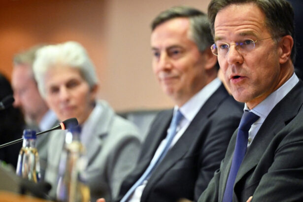 mark rutte cere tarilor nato sa investeasca o mica parte din bugetele pentru pensii sanatate sau asistenta sociala in aparare 67858b5f62557
