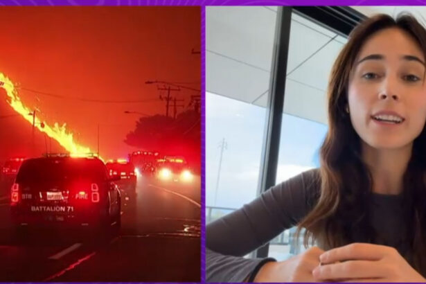 marturii din infernul din los angeles andra gogan e panica suntem pregatiti sa plecam in caz de de evacuare 677ee93baf6c6