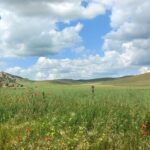 motociclist amendat pentru ca se afla intr o arie protejata din muntii macin ce a declarat in instanta 6796c36f75bb1