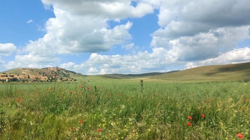 motociclist amendat pentru ca se afla intr o arie protejata din muntii macin ce a declarat in instanta 6796c36f75bb1