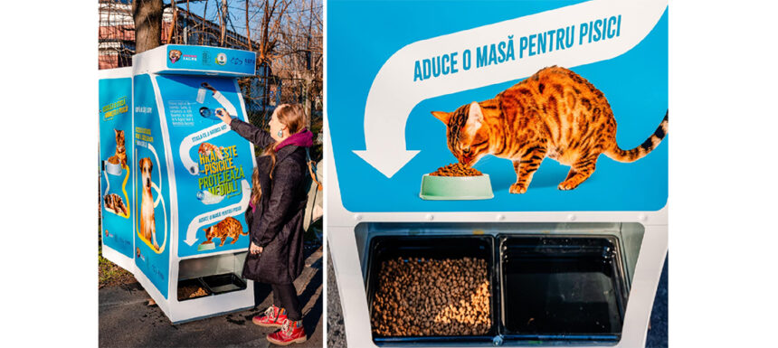 noua idee de reciclare care ar putea hrani pisicile fara stapan are deja succes in capitala 678a93daac3b8