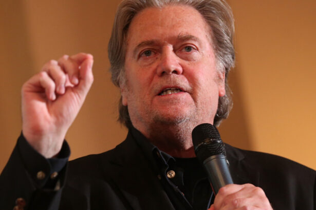 nu e liniste in tabara lui trump steve bannon promite sa l tina departe de casa alba pe elon musk este malefic vrea doar bani 6784cd6d52847