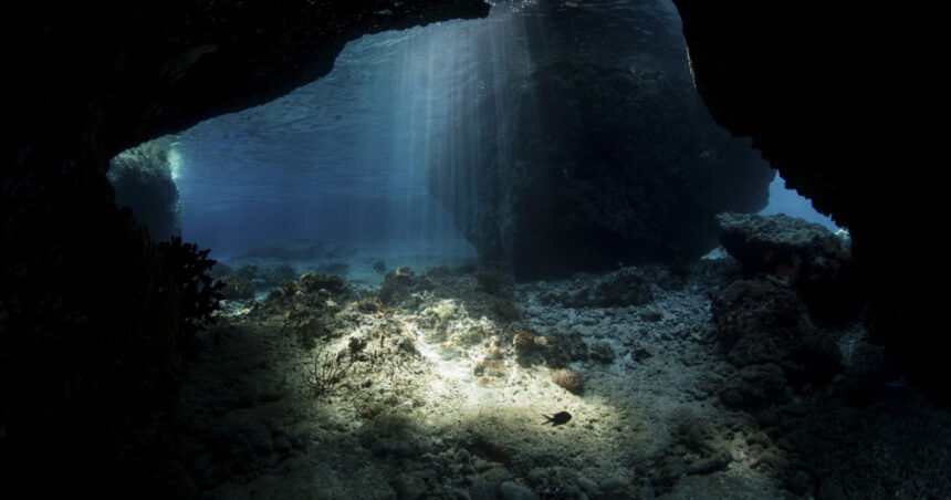 O descoperire controversată pe fundul mărilor a stârnit reacții din partea cercetătorilor și companiilor miniere: oxigenul întunecat 1 o descoperire controversata pe fundul marilor a starnit reactii din partea cercetatorilor si companiilor miniere oxigenul intunecat 678b809f79246