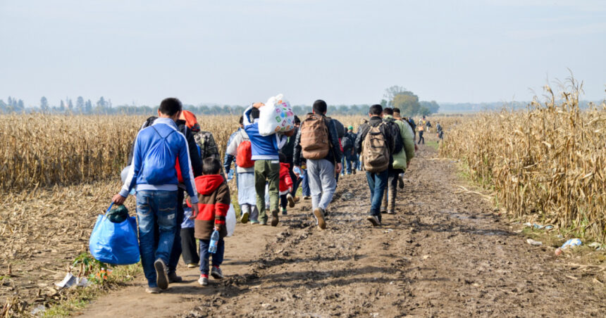 olanda ofera 900 de euro fiecarui refugiat sirian dispus sa revina in tara lui ce mai trebuie sa faca in schimbul acestei sume 6791113df0a89