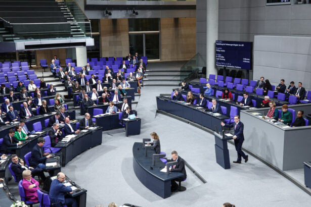 parlamentul german a inceput dezbaterea pentru scoaterea afd in afara legii ce sanse de reusita are initiativa 679bdb9a34bc3