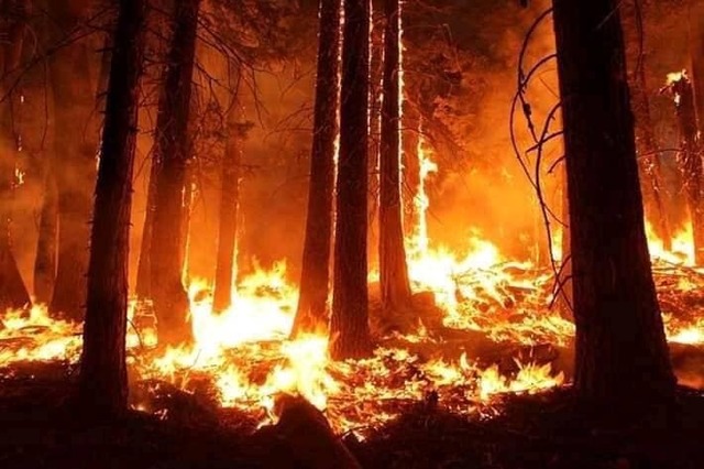 persoanele evacuate din los angeles sfatuite sa ramana departe de case pentru cel putin inca o saptamana 678a42056054c