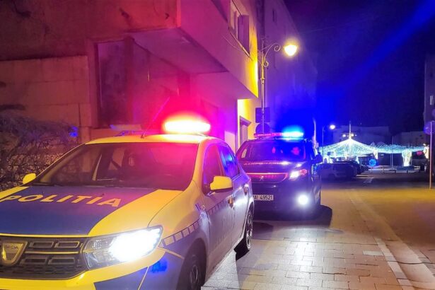 politistii constanteni au intervenit la 228 de evenimente in perioada 24 26 ianuarie 6797b91597caa