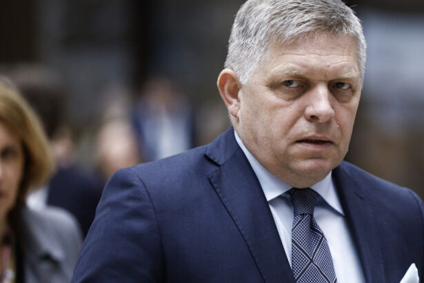 premierul fico al slovaciei il critica pe elevul care l a sfidat pe presedintele tarii cineva are nevoie de trei palme 6787b3367e9ef