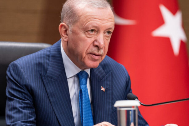 presedintele erdogan saluta progresele semnificative in dialogul cu pkk contactele stabilite au fost productive 6787eaf2410ab