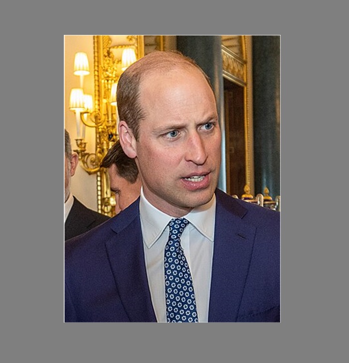printul william regele marii britanii papa francisc si regele spaniei dati in judecata la constanta 67878a968f460