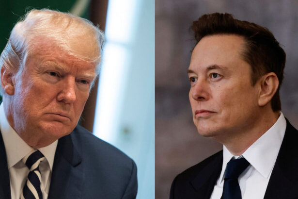 proiectul ai stargate scoate la lumina disensiunile dintre liderii tech atacul lui musk si reactia lui trump 679351bc0f25a