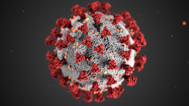 romania confirma doua cazuri de metapneumovirus uman 678143372e356