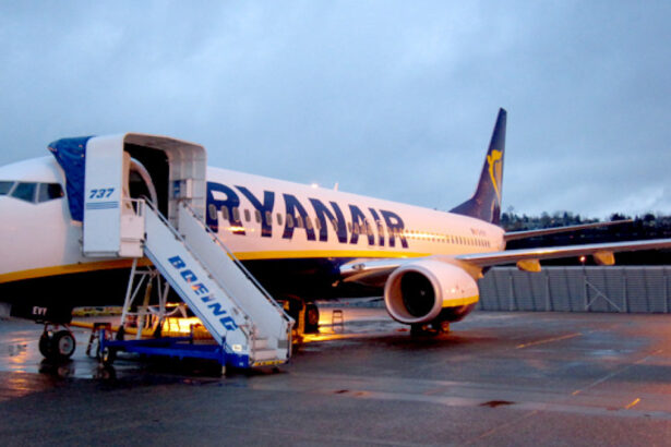 ryanair cere autoritatilor ue sa limiteze vanzarea de alcool in aeroporturi ar duce la o experienta de calatorie mai sigura 67853330eee15
