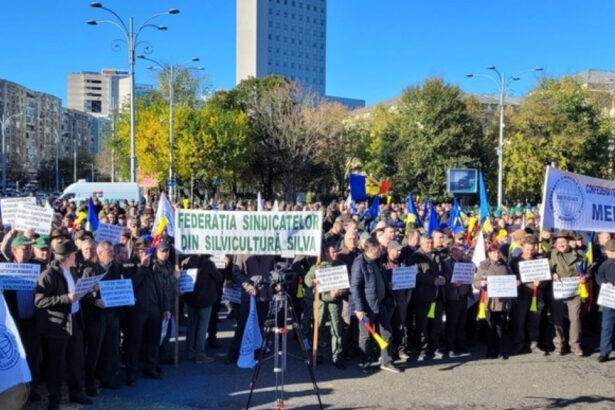 sindicalistii cer abrogarea ordonantei austeritatii protest in piata victoriei incepand cu ora 13 00 posibile restrictii de trafic 67934a9561424