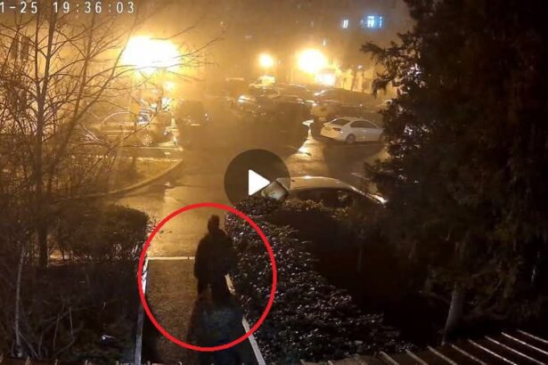 spargere in constanta o constanteanca cere ajutorul dupa ce hotii i au intrat in casa pe geamul de la bucatarie 6795f55e7e9fa
