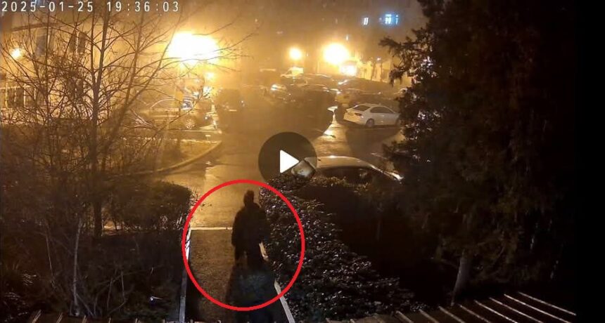 spargere in constanta o constanteanca cere ajutorul dupa ce hotii i au intrat in casa pe geamul de la bucatarie 6795f55e7e9fa
