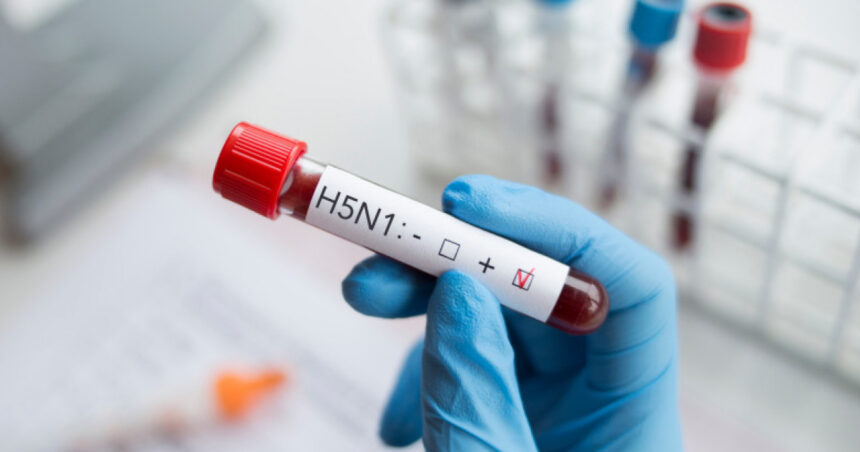 sua anunta primul deces din cauza gripei aviare este un virus urat pe care nimeni nu vrea sa l aiba 677d036ee6e22