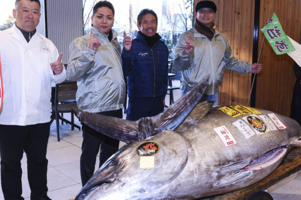 suma enorma platita de un restaurant japonez cu stele michelin pentru un ton rosu dorinta noastra este ca oamenii sa l manance 677a40d06f2d6