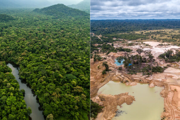 traficanti de droguri mineri ilegali si disidenti tripla alianta din inima amazonului care devasteaza cea mai mare padure tropicala 677cb992e89b9