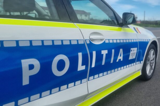 tragedie la tulcea doi adolescenti dati disparuti de familii gasiti morti pe camp politistii au deschis o ancheta 677e647f61616