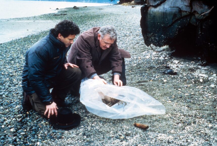 twin peaks ce se stie si nu se stie despre unul dintre cele mai populare productii tv mihail gorbaciov i a cerut lui george bush sa afle cine era criminalul laurei palmer 678d2492d41cf