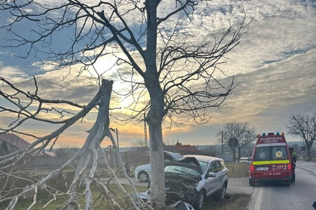 un sofer din tulcea a salvat un caine de la moarte dar a ajuns el la spital 6788bbc04e1df