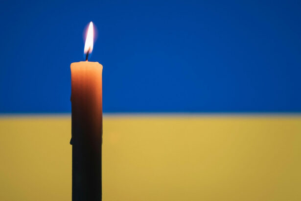 un voluntar austriac membru al unei miscari de extrema dreapta a murit luptand pentru ucraina 67937b827baf6