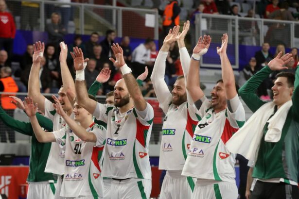 ungaria s a calificat in sferturile de finala ale campionatului mondial de handbal masculin 679675d33779c