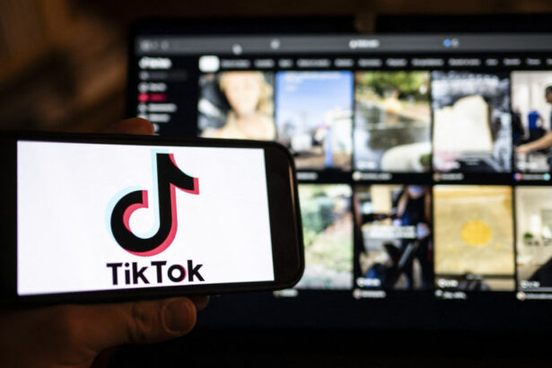 val de ura pe tiktok raspandit de ultranationalistii algerieni la adresa frantei mai multi influenceri au fost arestati 679748d4a696f