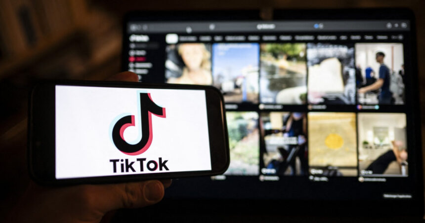 val de ura pe tiktok raspandit de ultranationalistii algerieni la adresa frantei mai multi influenceri au fost arestati 679748d4a696f
