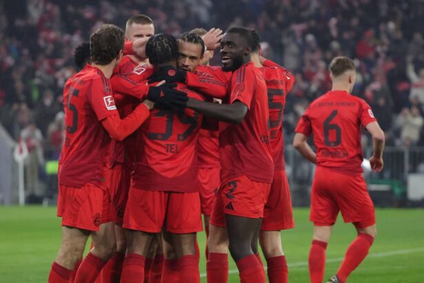 video bayern munchen a pulverizat o pe hoffenheim in bundesliga cate zeci de goluri au marcat bavarezii in 17 etape 6788b305e5b9e