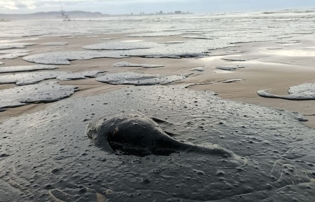 video cea mai mare deversare de petrol din marea neagra din ultimii ani pata continua sa se extinda rusia a declarat deja stare de urgenta la nivel federal e peste tot 67772ed399233