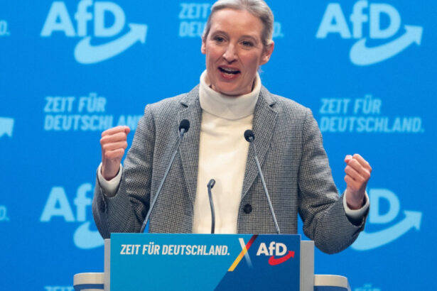 video extrema dreapta germana anunta planuri radicale sefa afd vom redeschide nord stream si vom darama turbinele eoliene 6785116a8993b