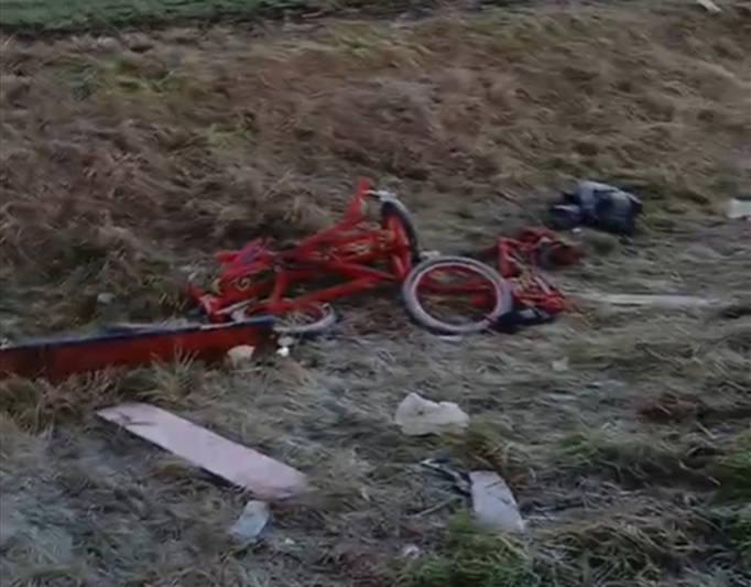 video imagini socante dupa accidentul cu doi morti de la cobadin calul e mort aici masina a fost luata a disparut 677ce8d66a2cf