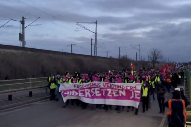 video manifestantii adunati in estul germaniei perturba congresul partidului de extrema dreapta afd nu nazistilor 678293cb55f7c