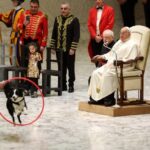 video papa francisc se joaca cu un caine de la circ vezi momentul adorabil care a facut inconjurul lumii 678a3aee4361f