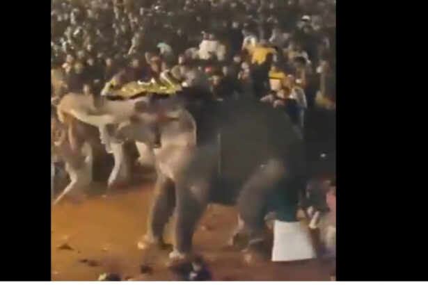 video peste 20 de persoane au fost ranite in india dupa ce un elefant a devenit violent in timpul unui festival religios 677e9149ee36f