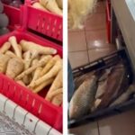 video protectia consumatorilor a descins in piata tomis iii mai multe locatii au fost inchise temporar falsi producatori de legume si fructe si pericol pentru sanatate la produsele din carne si pes 679b9251900a9