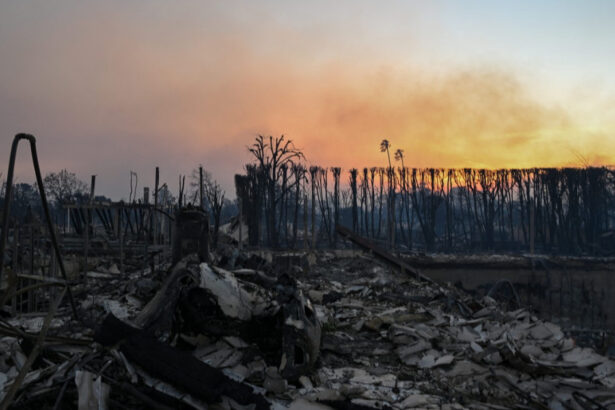 videofoto incendiile din los angeles cinci oameni au murit centrul hollywood ului a fost evacuat joe biden si a anulat vizita in italia 677f67263f5ae